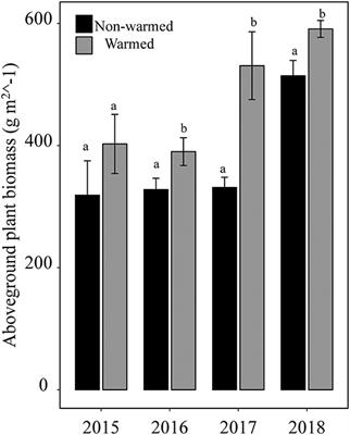 Changes in Community Composition Induced by Experimental Warming in an Alpine Meadow: Beyond Plant Functional Type